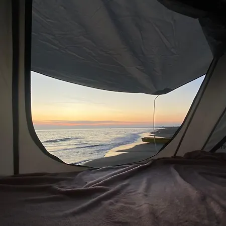 Campsite Alb Car Grile