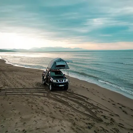 Alb Car *